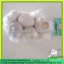 500g China garlic normal white in mess bag